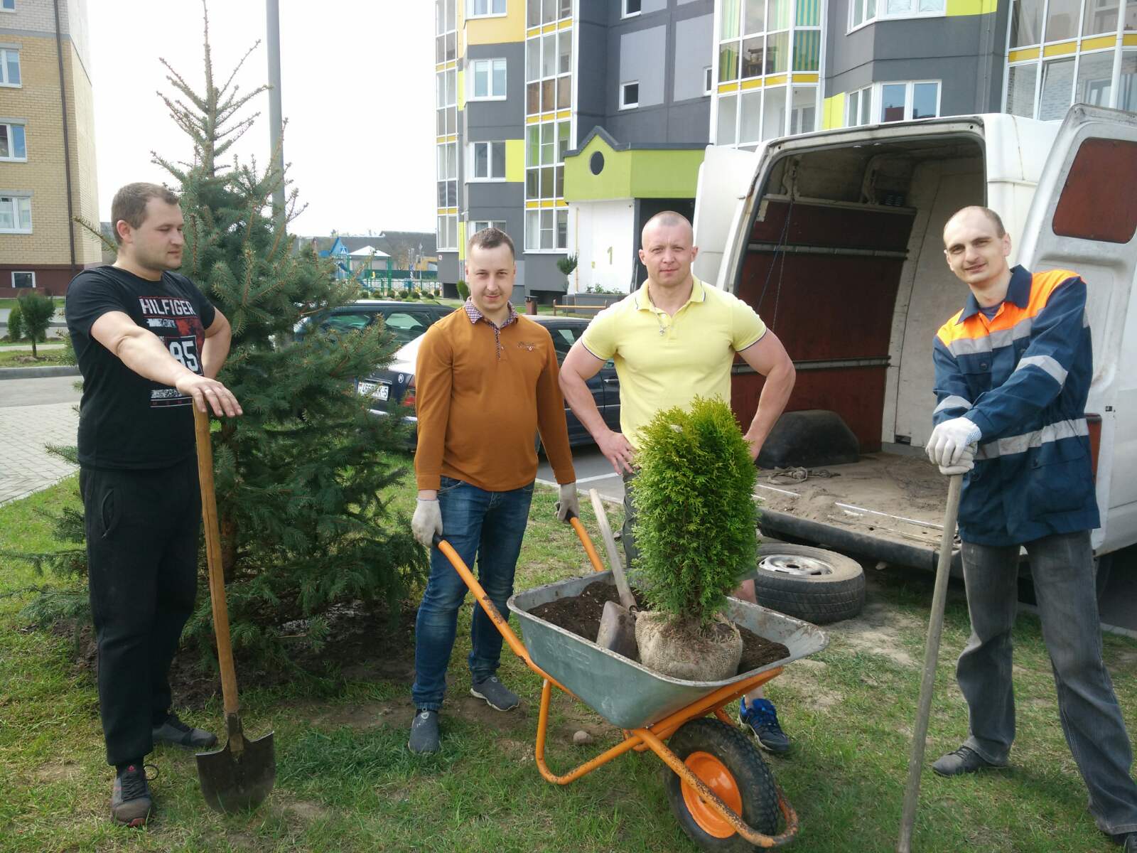 Кипарисы и туи посадили жители одного из домов в микрорайоне Чехова |  Благоустройство | Новости Слуцка и Слуцкого района Газета 