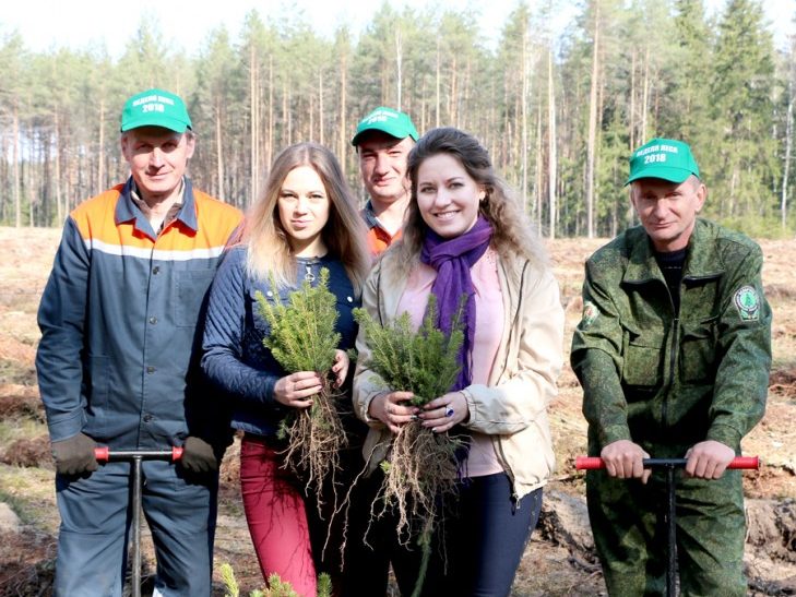 Зялёны ўбор малой радзімы