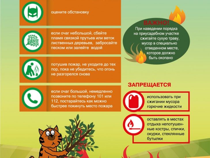 Внимание! Сухая растительность!