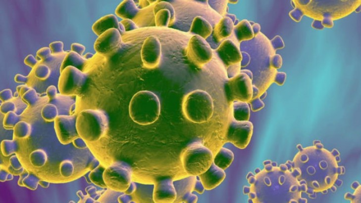 В Беларуси не выявлено случаев коронавируса