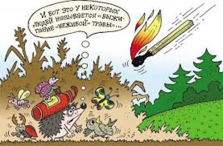 Сжигание сухой растительности может привести к пожару!