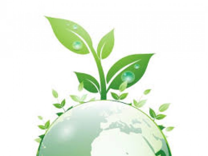 Из недр на свалки, или На что уходят природные ресурсы