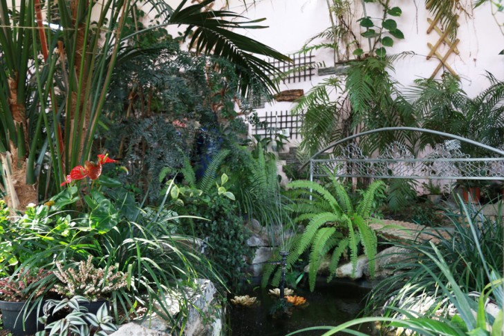 Вось такі цудоўны зімовы сад ёсць у Слуцкім дзяржаўным каледжы