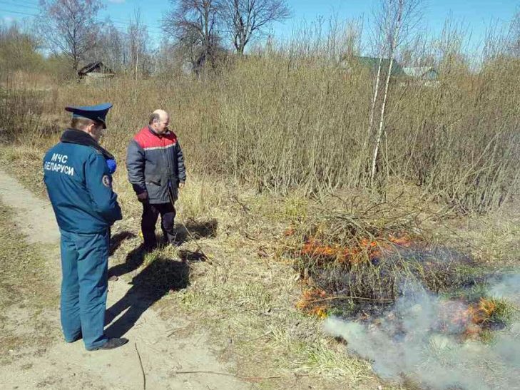 Противопожарные рейды по сельским населенным пунктам провели слуцкие спасатели