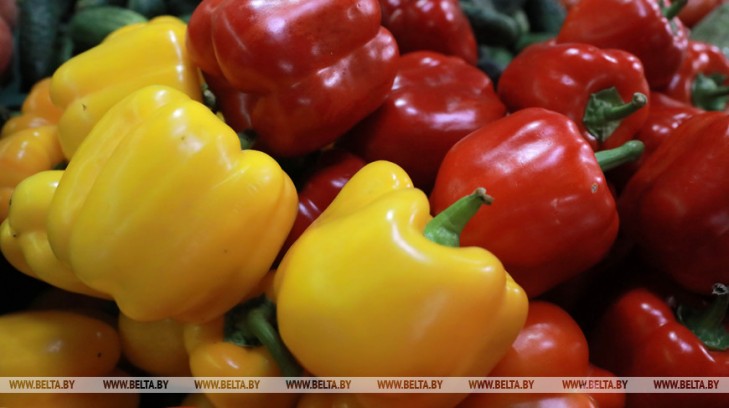 Прием заявок на участие в международной бизнес-игре “Начинающий фермер” продлен до 30 мая