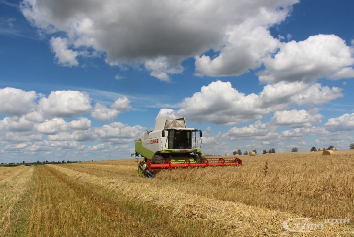 В Минской области убрано 98% площадей зерновых. В лидерах – Слуцкий район
