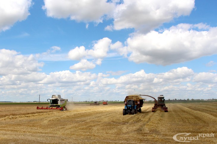 Хто ў лідарах на ўборцы збожжавых і зернебабовых культур