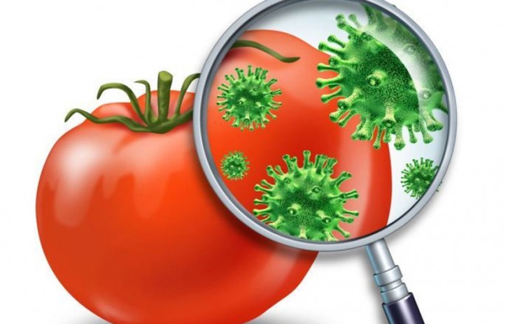 Десять «золотых» правил для предотвращения пищевых инфекций