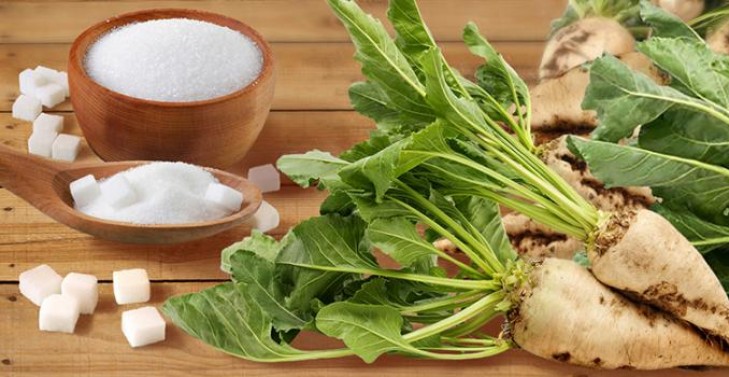 Сахарная свекла в Беларуси убрана с 6,16% уборочной площади