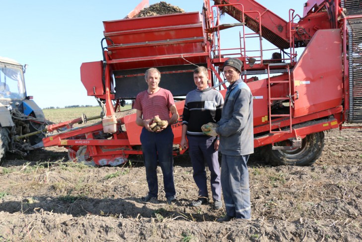 Бульба – рэнтабельная культура, упэўнены ў саўгасе «Рачкавічы»