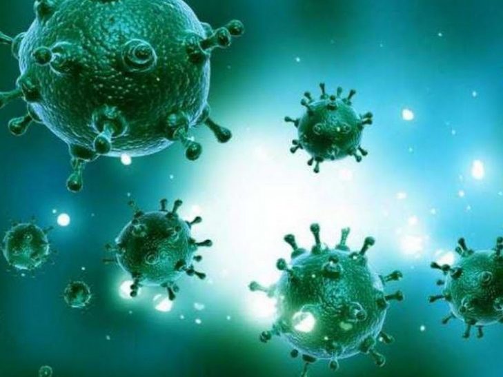 Ученые рассказали, сколько могут сохраняться антитела к коронавирусу