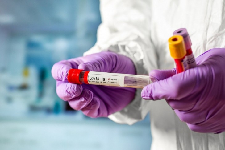 COVID-19: статистика на 23 ноября