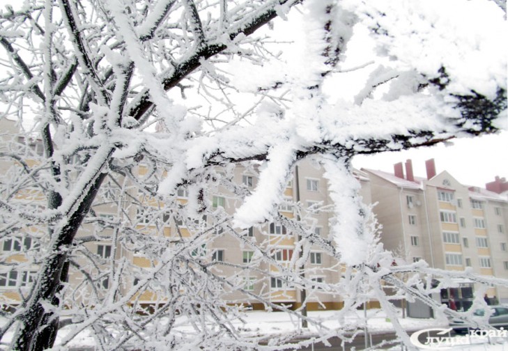 Снежно и ветрено – Беларусь окажется под влиянием циклона Volker