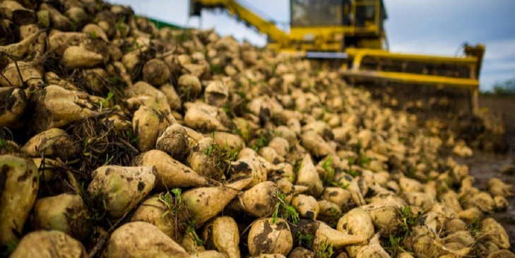 Ученые разработали комплексные удобрения почти для всех сельхозкультур Беларуси