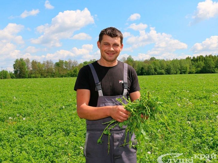 У Слуцкім раёне пачалася касавіца