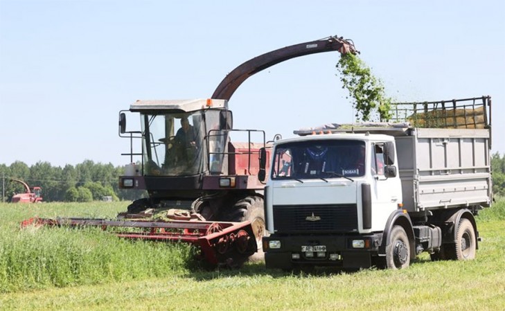 Нарыхтоўка кармоў. Хто ў ліку перадавікоў