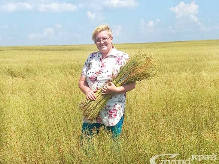 Льнозавод прыступіў да цераблення льну