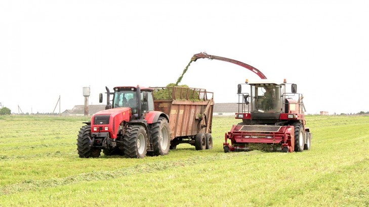 Заготовка травянистых кормов по технологии?