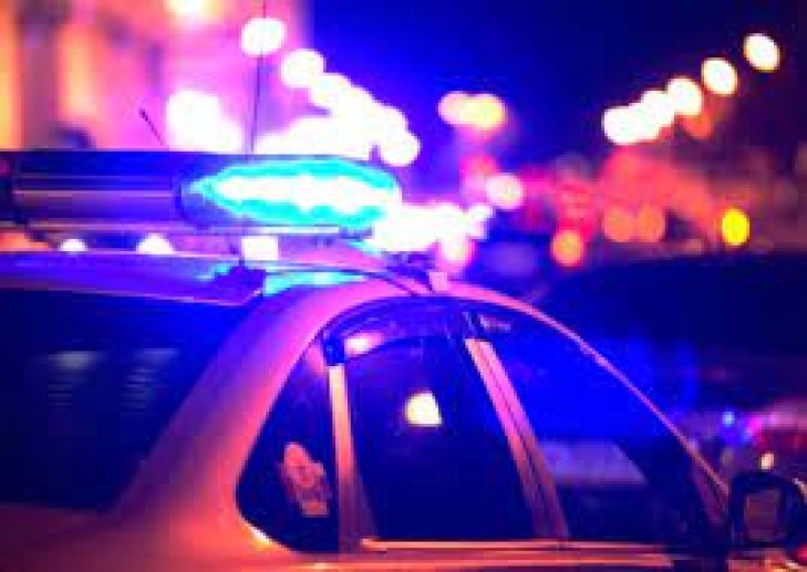 Единый день безопасности дорожного движения пройдет 28 января