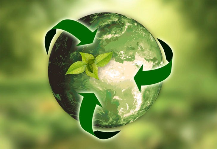 Юные слутчане среди победителей конкурса видеороликов «Сохраним природу вместе»