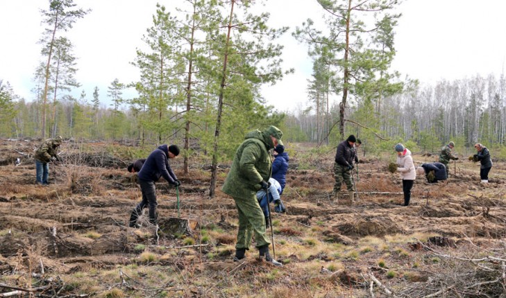 В рамках республиканского субботника и «Недели леса» руководство Слуцкого райисполкома занималось посадкой леса