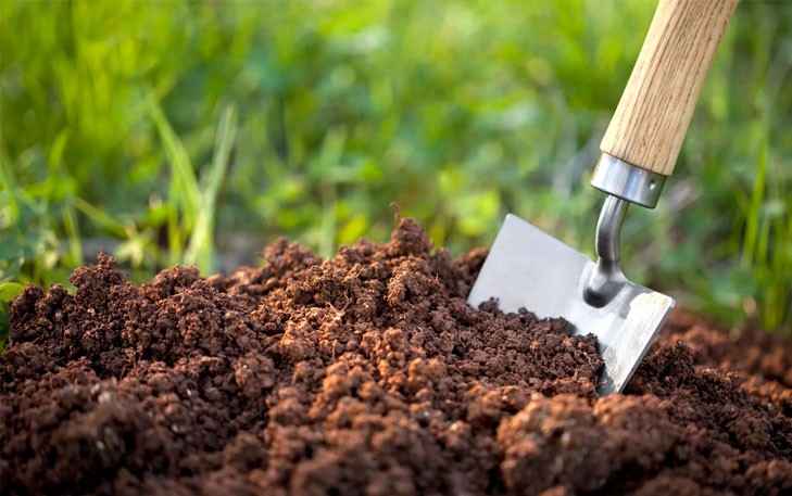 В Беларуси увеличивается плодородие почв – ученые