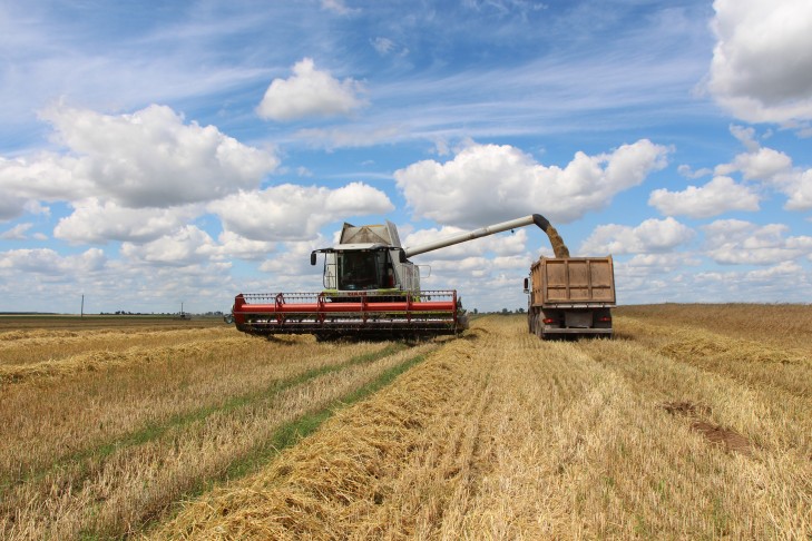 Заготовка кормов продолжается