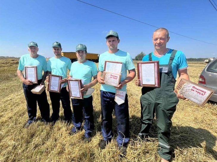 Убрать хлеб качественно и без потерь – такая задача стоит перед аграриями