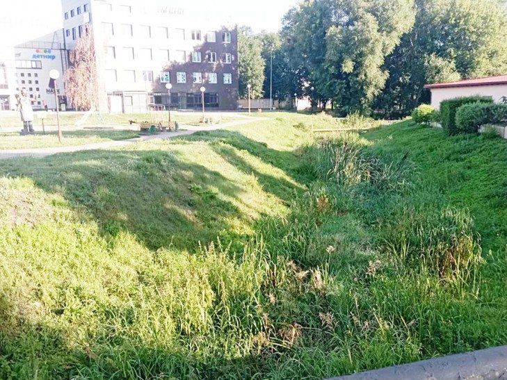 Случчане наракаюць, што русла рэчкі Бычок зусім зарасло
