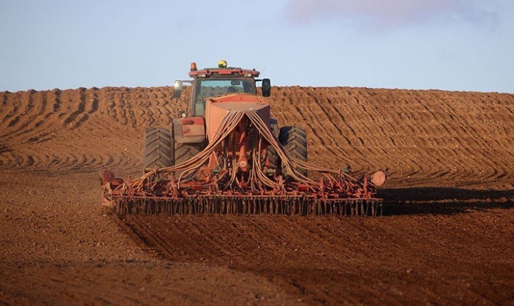 В Беларуси завершается сев озимых зерновых