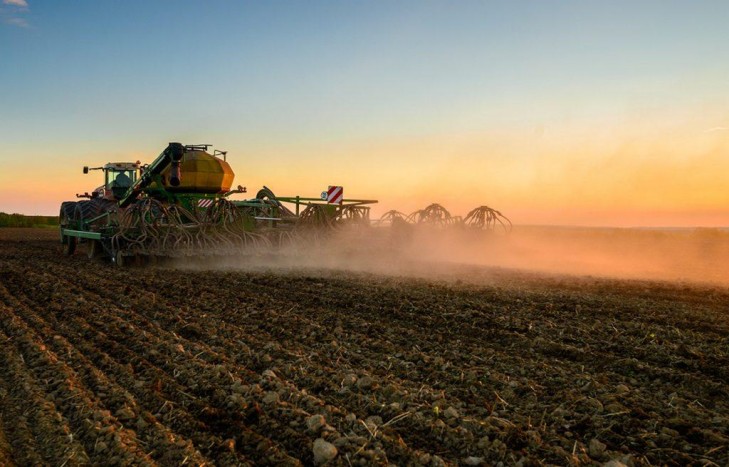 Минщина почти полностью засеяна сельскохозяйственными культурами