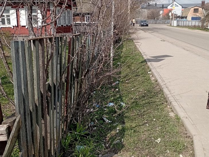 В очередной раз поднимаем проблему замусоренности прилегающих территорий возле частных домовладений слутчан