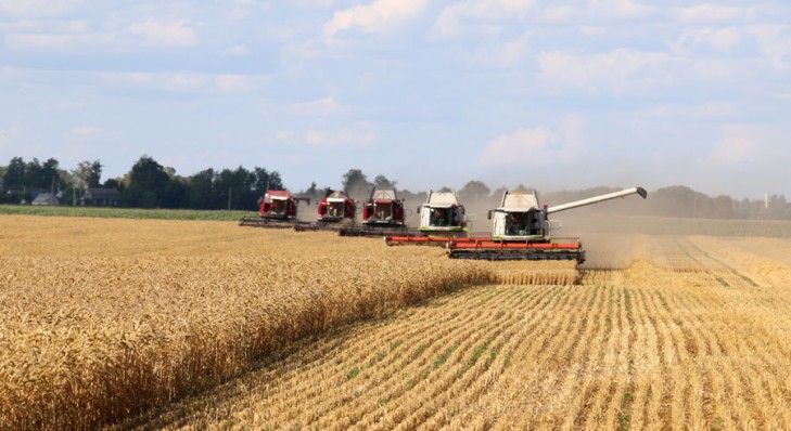 В Беларуси намолотили 3 млн тонн зерна
