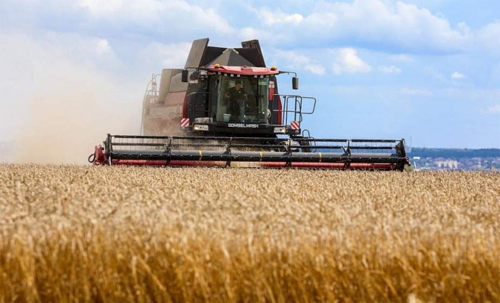 Зерновые и зернобобовые культуры в Слуцком районе убраны на 85% отведенных площадей