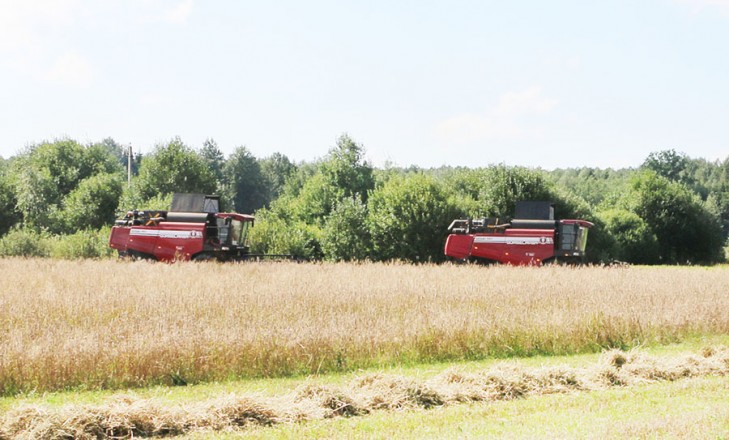 Зерновые и зернобобовые культуры в Слуцком районе убраны на 91% отведенных площадей
