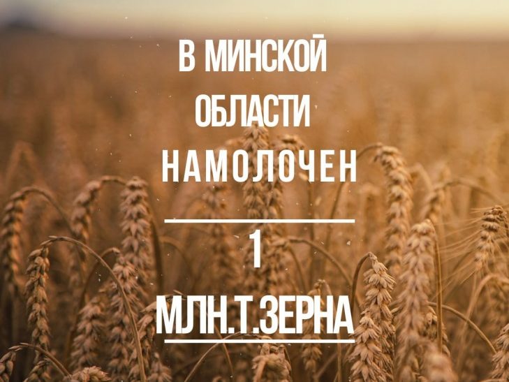 1миллион тонн зерна намолотили аграрии Минщины