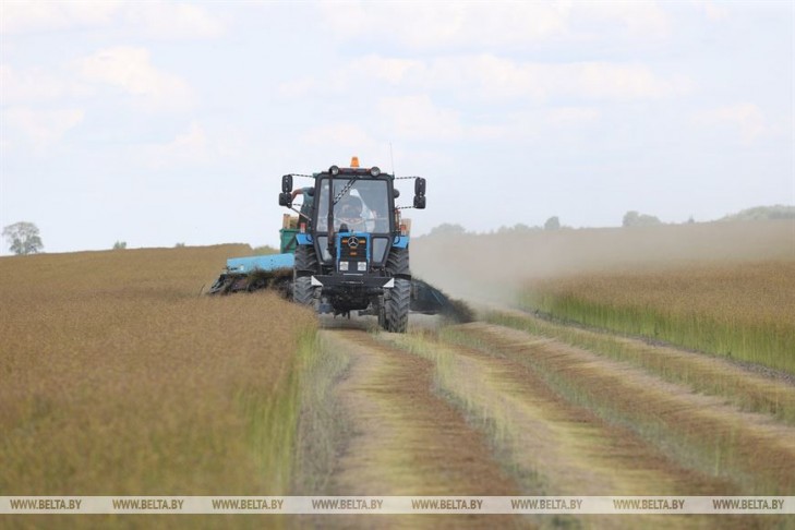 В Слуцком районе идет уборка льна