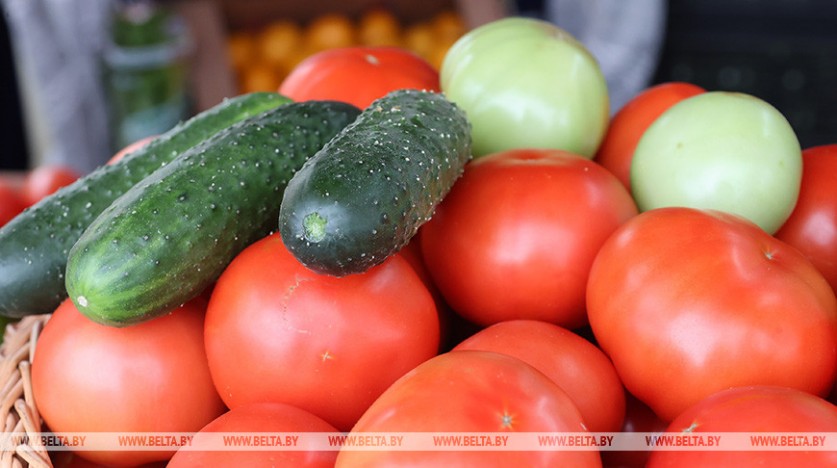 МАРТ: на межсезонный период будет заложено 122,8 тыс. тонн плодоовощной продукции