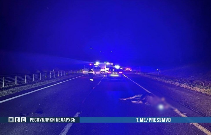 ДТП в Минском районе: наезд на дикое животное – погибли водитель и ребенок