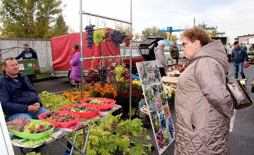 Что нужно знать слутчанам, которые торгуют на рынке продукцией из собственного подворья