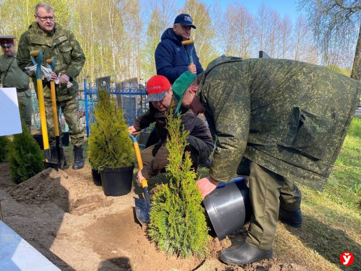 Роман Головченко и члены правительства высадили туи в честь партизан в Копыльском районе