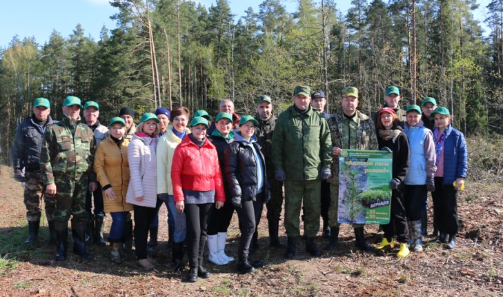 В рамках республиканского субботника руководство Слуцкого райисполкома занималось посадкой леса