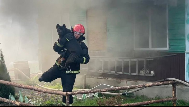 В Слуцке на пожаре спасли собаку