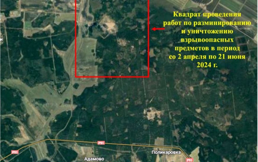 Инженерные войска продолжат расчистку территории вблизи деревни Павловка в Слуцком районе