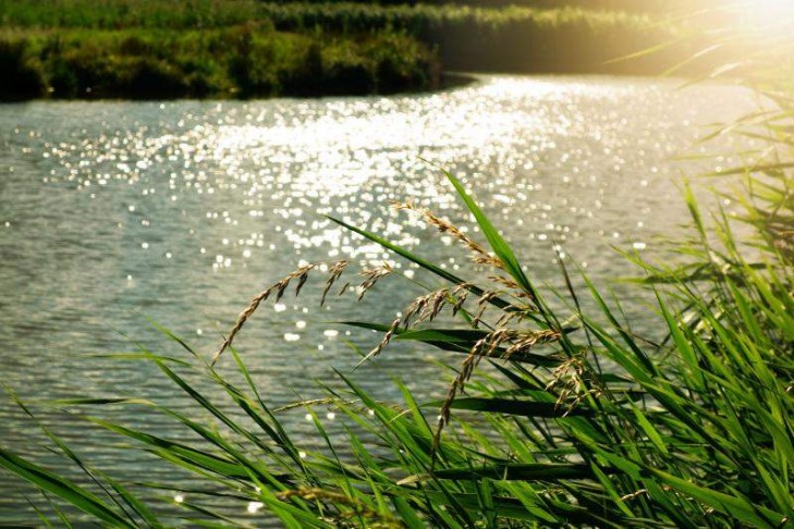 Какие запреты действуют в водоохранных зонах