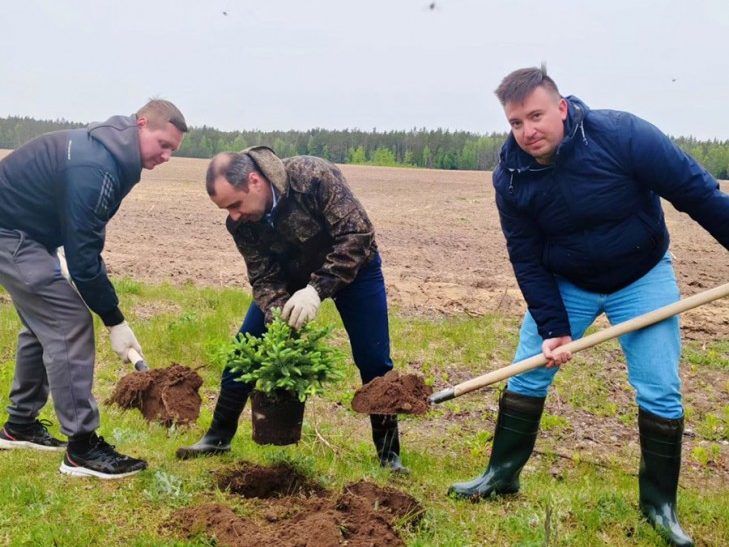 50 елей высажено на территории сожженной в годы великой Отечественной войны деревни Переходы