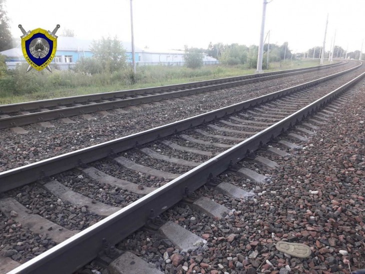 В Жлобине 8-летнюю девочку сбил электропоезд