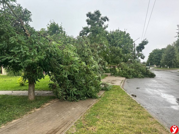 Девушка погибла на Цнянке. Медики оказывают помощь пострадавшим после бури