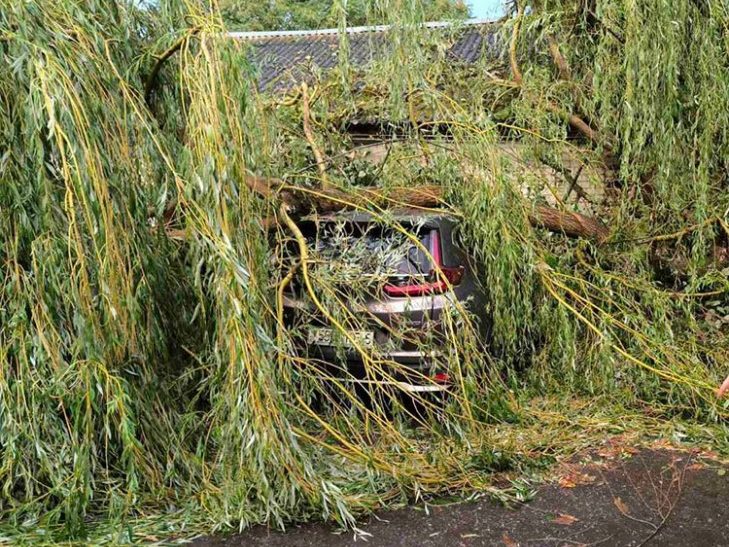 Последствия прохождения грозового фронта на территории Минской области