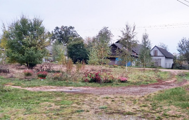 Траву между переулками скосили